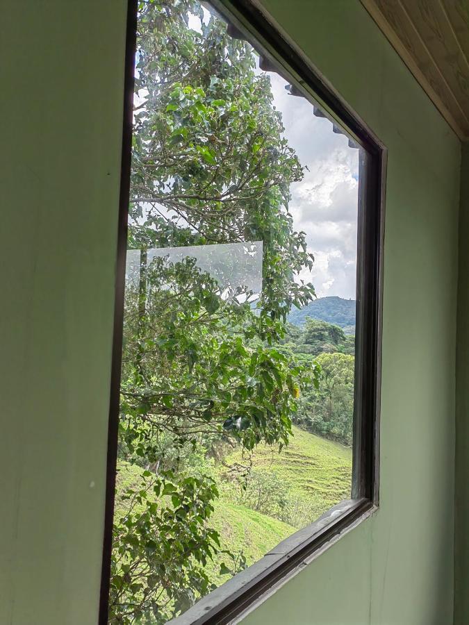Monteverde Monte Green Bagian luar foto